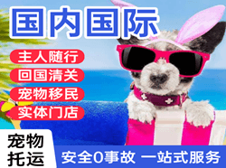阿尔山机场快运国际宠物托运 【国